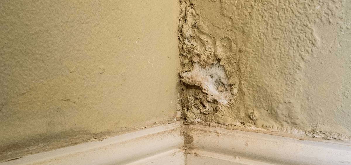 waterproofing damp walls