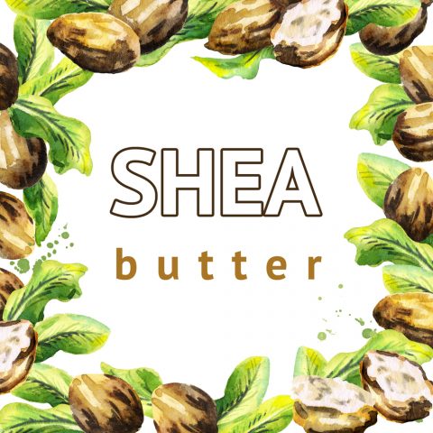 6 Benefits Of Shea Butter For Skin And Hair – The Urban Life